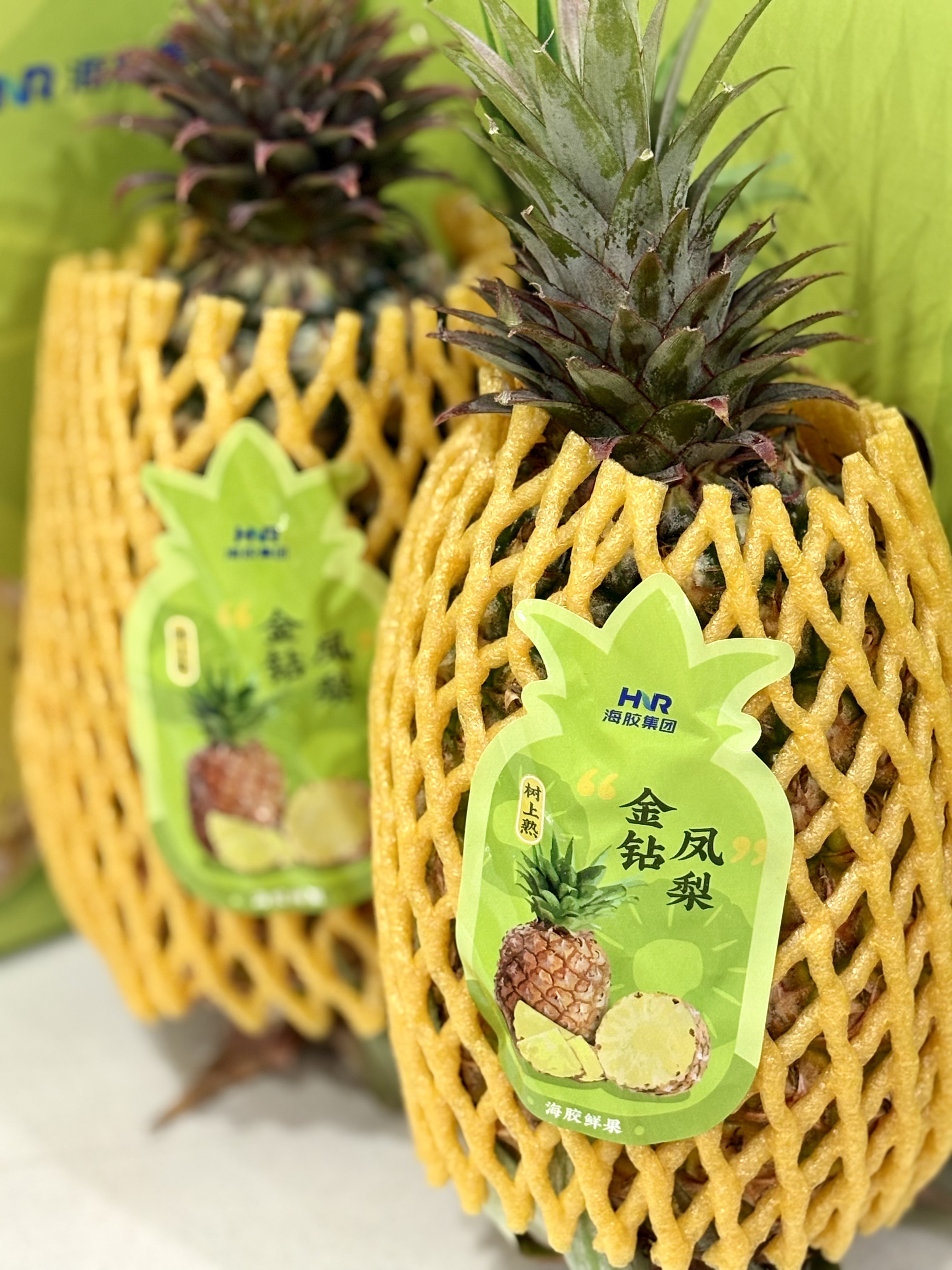 海胶鲜果金钻凤梨